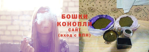 spice Вяземский