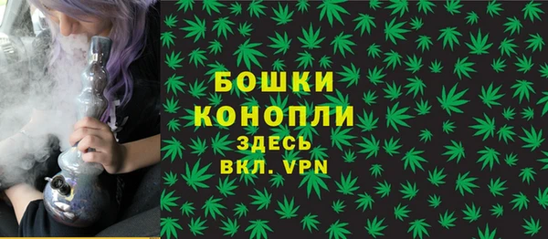 spice Вяземский