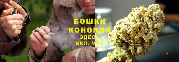 ПСИЛОЦИБИНОВЫЕ ГРИБЫ Семилуки