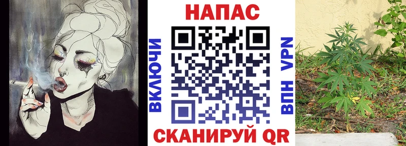 Бошки марихуана конопля сколько стоит сайты даркнета какой сайт Павловский Посад